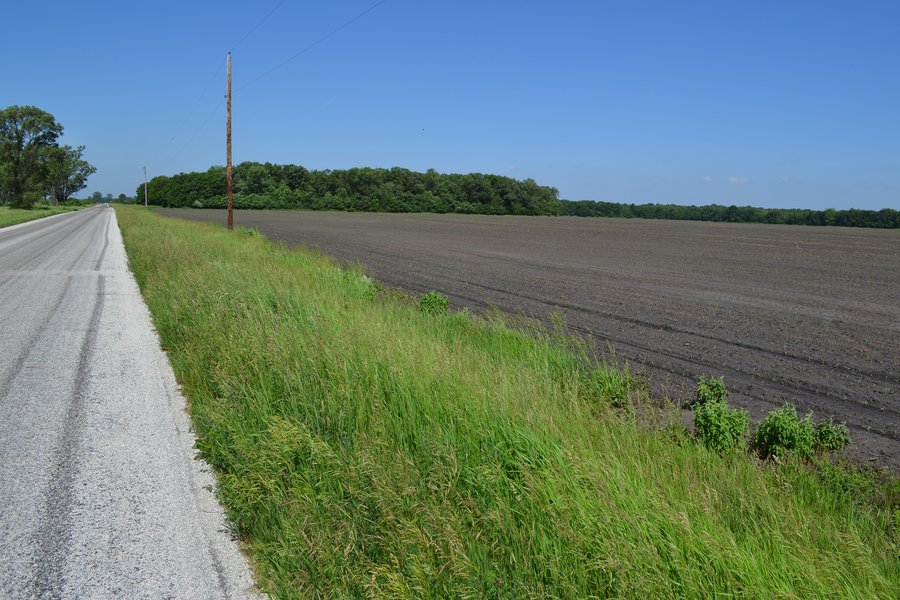 For sale: 156.9+/- Acres For Sale - Cropland, Woods for Hunting/Recreational & Potential Building Sites - Lake Village, Indiana. Newton County, IN